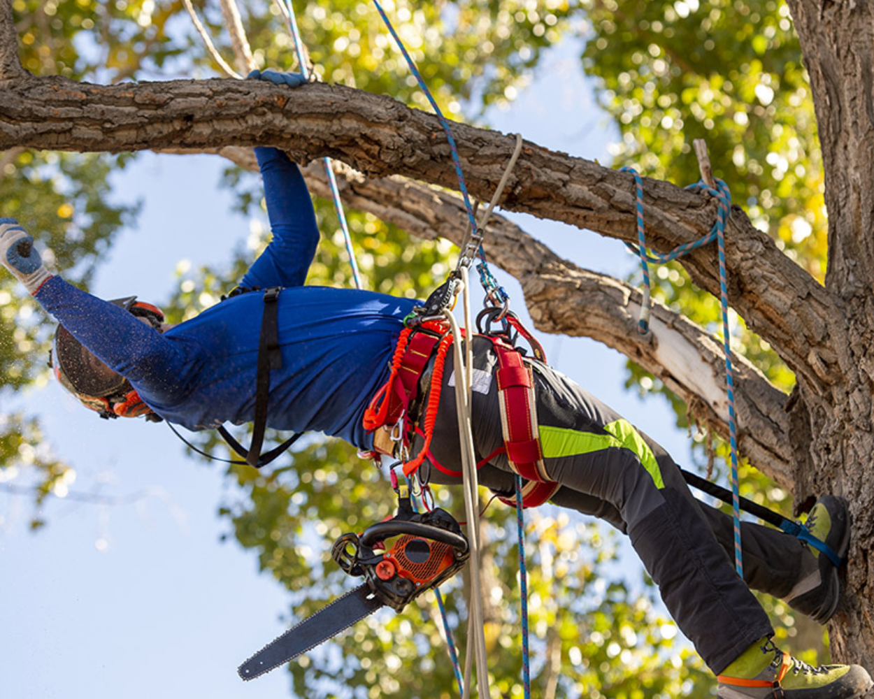 CLIMBING